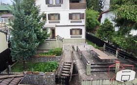 Vila Liz